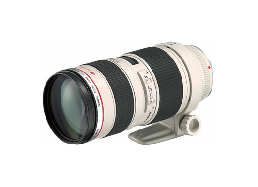 Canon EF70-200mm F2.8 L USM フルサイズ対応  望遠ズームレンズ #18