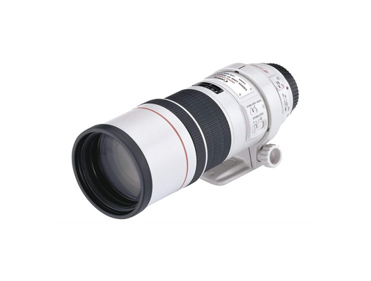 Canon EF 300mm F4 L IS USM フルサイズ対応  単焦点望遠レンズ #68